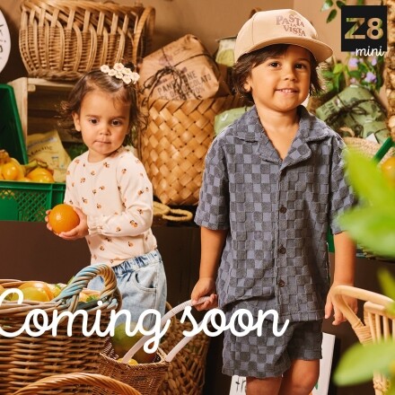 Coming soon: Z8 MINI '25