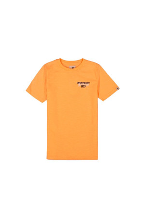 Garcia T-shirt M43401 2644 neon carrot bestel je online bij