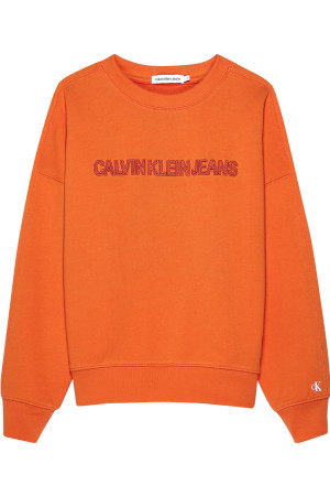 Individualiteit Uitvoerbaar tweedehands Calvin Klein truien en vesten online shoppen bij Humpy.nl