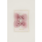 Fall & Scott haaraccessoires Roze Nova