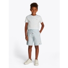 Tommy Hilfiger broeken DD0 Breezy Blue Heather KB0KB09496