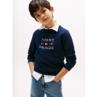 Tommy Hilfiger truien & vesten C1G Dark Night Navy KB0KB09569