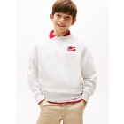 Tommy Hilfiger truien & vesten PMT Snow White Heather KB0KB09571