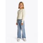 Tommy Hilfiger broeken 1A4 Authredcastlt KG0KG08402