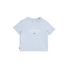 Tommy Hilfiger shirts C1O Breezy Blue KN0KN02033