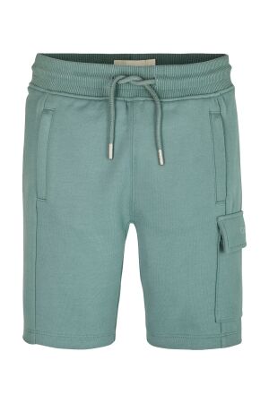 Calvin Klein Peached Terry Cargo Short CKM Trooper