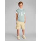 Calvin Klein overhemden CCO Green Surf IB0IB02511