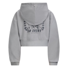 Retour Jeans truien & vesten 8010 light grey RJG-051-703