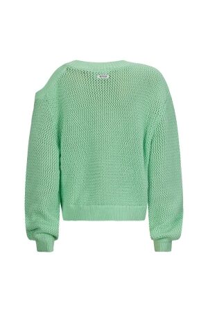 Retour Jeans truien & vesten 6015 soft apple RJG-051-800