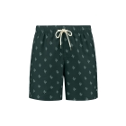 Shiwi zwemkleding 7742 Green Jade Sketched Coral 1525107456