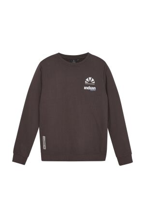 Indian Blue Jeans Sweater Backprint 2733 Ash Brown