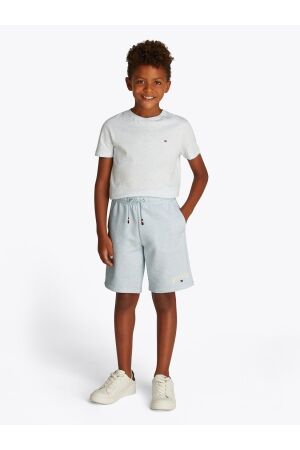 Tommy Hilfiger Hilfiger Varsity Sweatshort DD0 Breezy Blue Heather