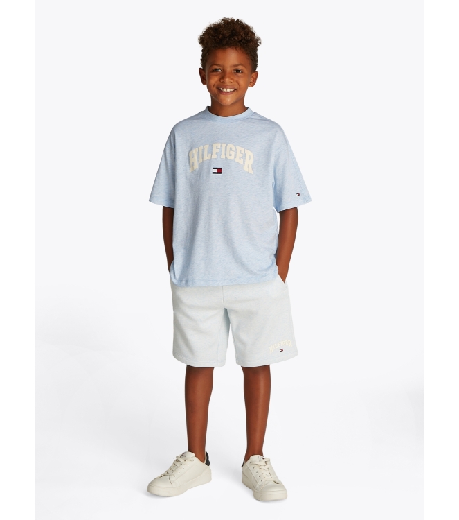 Tommy Hilfiger shirts DD0 Breezy Blue Heather KB0KB09533