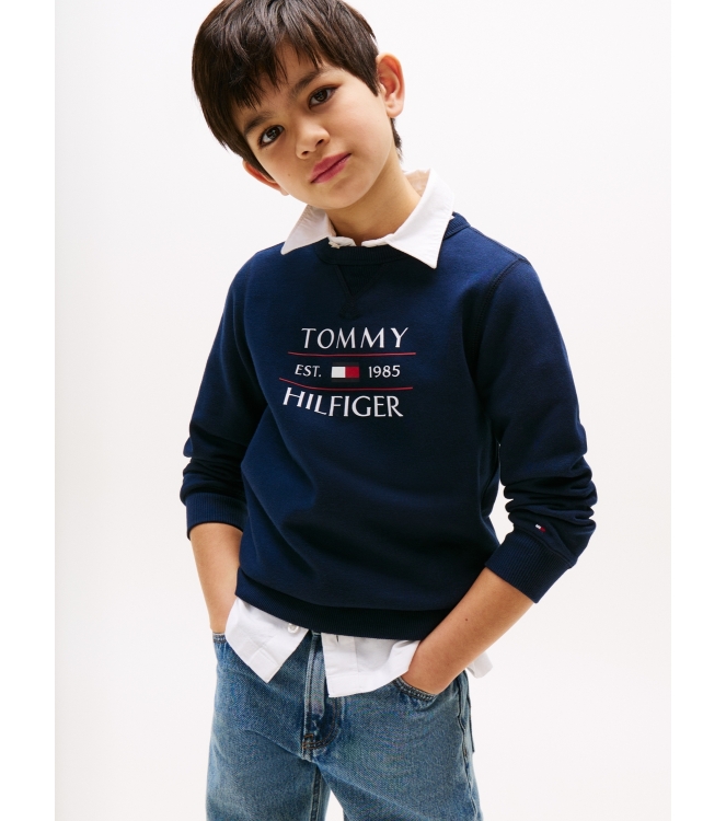 Tommy Hilfiger truien & vesten C1G Dark Night Navy KB0KB09569