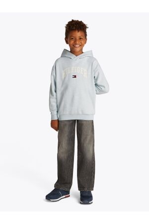 Tommy Hilfiger Hilfiger Varsity Hoodie DD0 Breezy Blue Heather