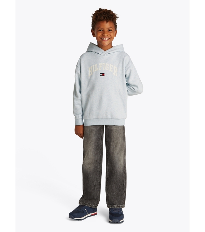 Tommy Hilfiger truien & vesten DD0 Breezy Blue Heather KB0KB09574