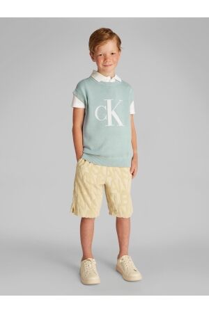 Calvin Klein overhemden CCO Green Surf IB0IB02511