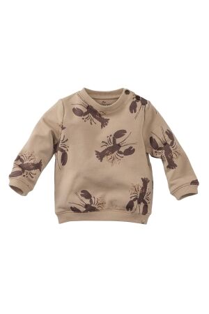 Z8-Newborn Franco Sweater Nougat/AOP