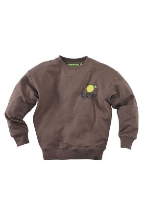 Z8 Marcelo Sweater Crazy coconut