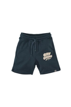 Z8 Alroy Korte broek Ocean wave