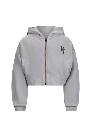 Retour Jeans truien & vesten 8010 light grey RJG-051-703