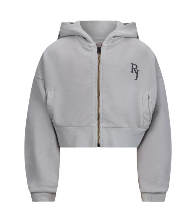Retour Jeans truien & vesten 8010 light grey RJG-051-703