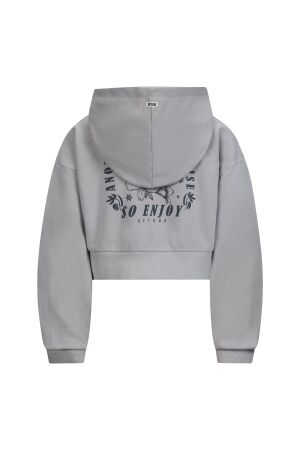 Retour Jeans truien & vesten 8010 light grey RJG-051-703