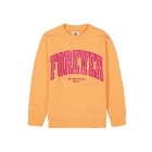 Garcia truien & vesten 4017-coralkiss B52460