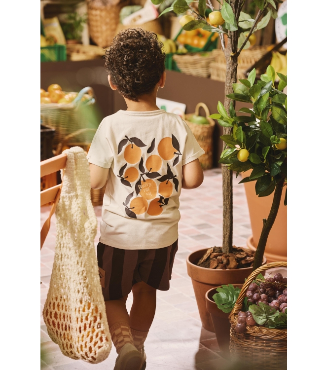 Z8 shirts Panna cotta Renardo