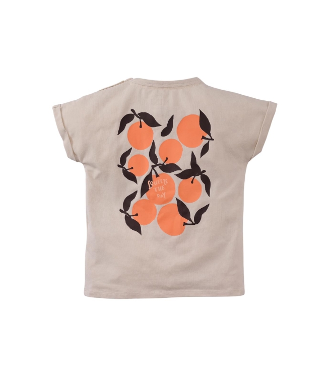 Z8 shirts Panna cotta Renardo