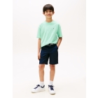 Tommy Hilfiger shirts L6Z Menthol KB0KB09646