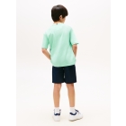 Tommy Hilfiger shirts L6Z Menthol KB0KB09646