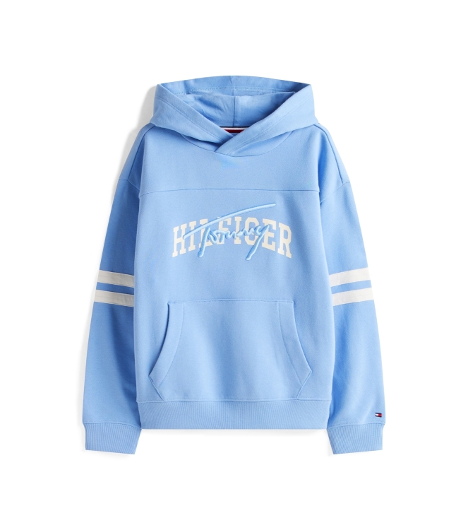 Tommy Hilfiger truien & vesten C14 Cloudy Blue KB0KB09742