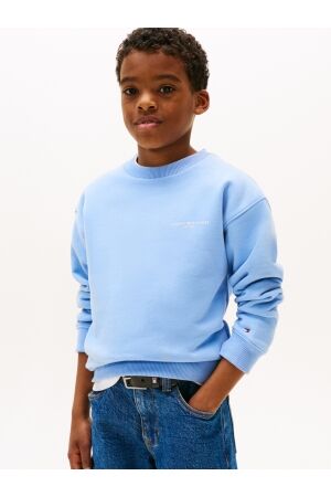 Tommy Hilfiger truien & vesten C14 Cloudy Blue KS0KS00640