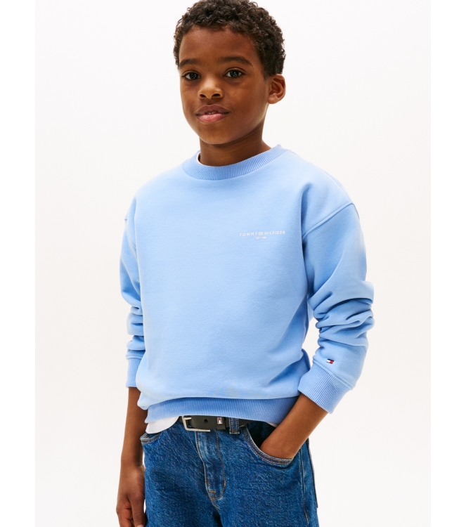 Tommy Hilfiger truien & vesten C14 Cloudy Blue KS0KS00640