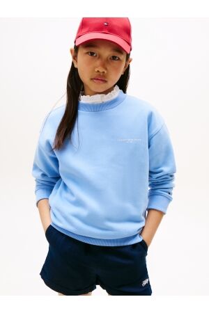 Tommy Hilfiger truien & vesten C14 Cloudy Blue KS0KS00640