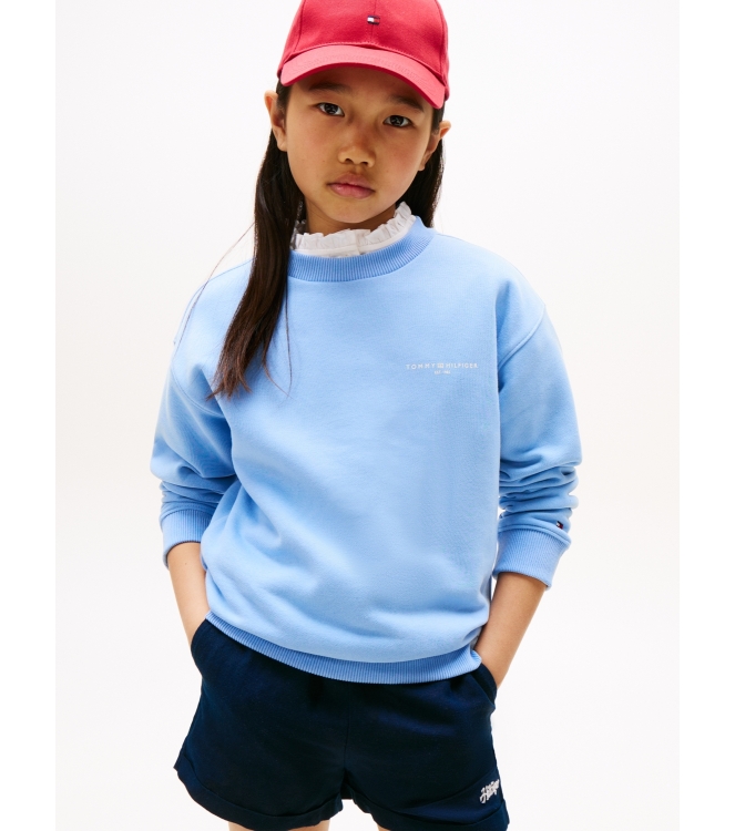 Tommy Hilfiger truien & vesten C14 Cloudy Blue KS0KS00640