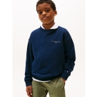 Tommy Hilfiger truien C1G Dark Night Navy KS0KS00640