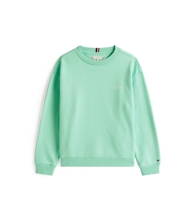 Tommy Hilfiger truien & vesten L6Z Menthol KS0KS00640