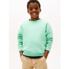 Tommy Hilfiger truien L6Z Menthol KS0KS00640