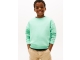 Tommy Hilfiger truien L6Z Menthol KS0KS00640