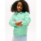 Tommy Hilfiger truien L6Z Menthol KS0KS00640