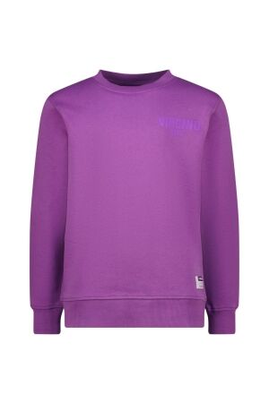 Vingino Basic-crew sweater 858 True purple