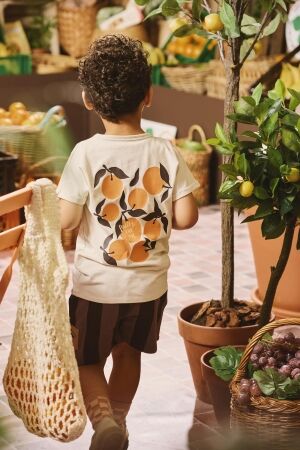 Z8 Renardo T-shirt Panna cotta