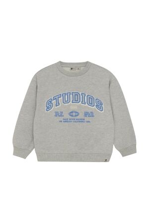 Daily7 Sweater Artwork 1220 Medium Grey Melange