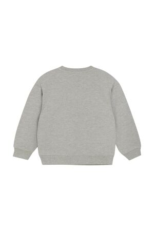Daily7 truien & vesten 1220 Medium Grey Melange 920174