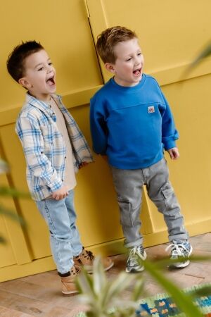 Daily7 truien & vesten 7992 Dusty Kobalt 920176