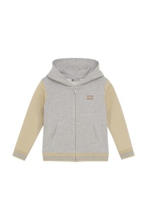 Daily7 Hoodie Zipperjacket 1220 Medium Grey Melange