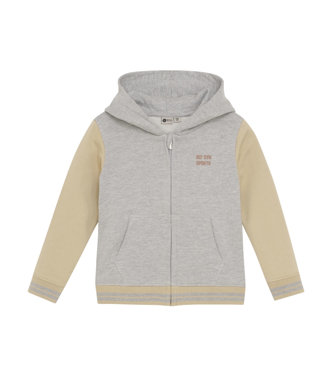 Daily7 truien & vesten 1220 Medium Grey Melange 920184