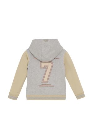 Daily7 truien & vesten 1220 Medium Grey Melange 920184